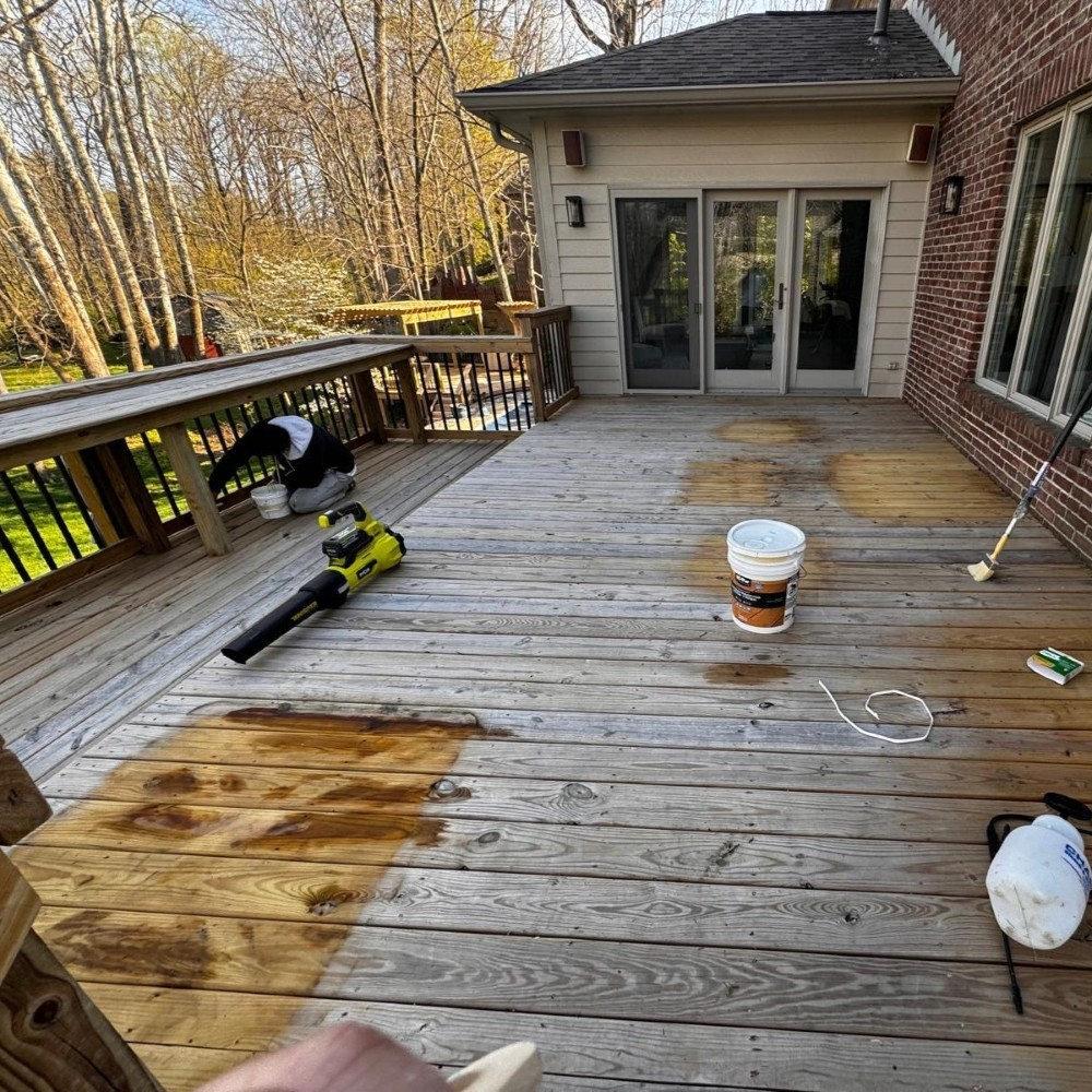 img 5895 before 1000x1000 1.webp